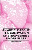 An Article About The Cultivation Of Strawberries Under Glass