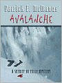 Avalanche (Sheriff Bo Tully Series #2)