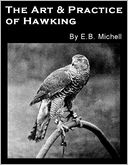 download The Art and Practice of Hawking book