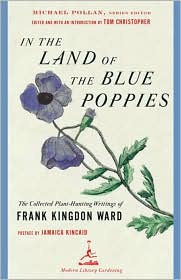 blue poppies
