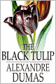 The Black Tulip