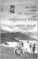 Big Sur and the Oranges of Hieronymus Bosch