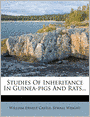 Studies Of Inheritance In Guinea-pigs And Rats...