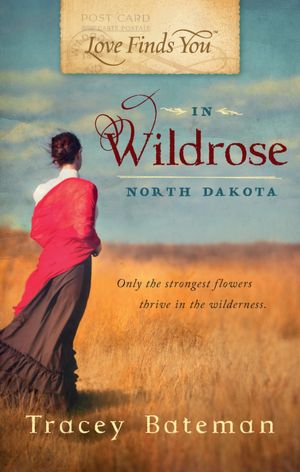 Love Finds You in Wildrose, ND