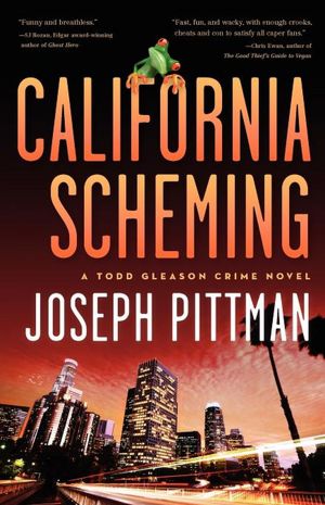 California Scheming: A Todd Gleason Crime Novel