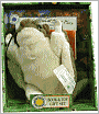 Flying Squirrel at Acorn Place (Smithsonian Backyard Series): With Plush Toy