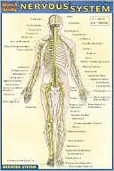 Nervous System
