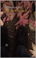 Willesden Herald: New Short Stories 6