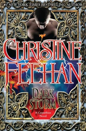 Free it books downloads Dark Storm