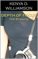 Depth of Focus: the Stanzas