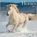 2013 HORSES 12X12 WALL CALENDAR