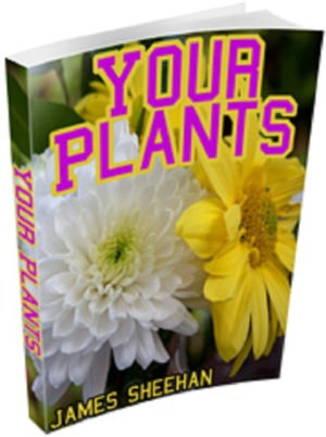 Your Plants: PLAIN AND PRACTICAL DIRECTIONS FOR THE TREATMENT OF TENDER AND HARDY PLANTS IN THE HOUSE AND IN THE GARDEN