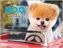 Boo: Little Dog in the Big City