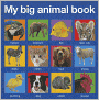 My Big Animal Book