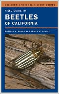 Field Guide to Beetles of California