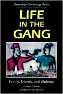 Life in the Gang: Family, Friends, and Violence