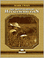 The Adventures of Huckleberry Finn