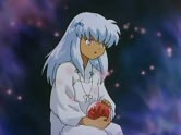 The Inuyasha Series