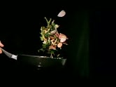 Modernist_Cuisine_Trailer