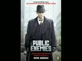 Public Enemies