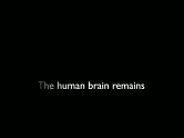 Portraits of the Mind