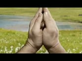 The Book of the Shepherd