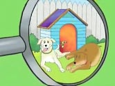 Penny And Rio
