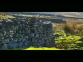 The Truth About Lord Stoneville