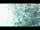 To Be Sung Underwater