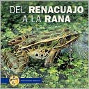 Del renaucajo a la rana (from Tadpole to Frog)