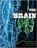 The Brain: Big Bangs, Behaviors, and Beliefs