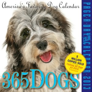 2012 365 Dogs Page-A-Day Calendar