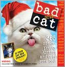 2013 Bad Cat Page-A-Day Calendar