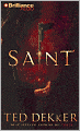 Saint (Paradise Series #2)