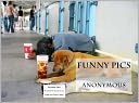 Funny Pics
