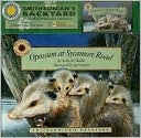Opossum at Sycamore Road