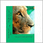 Androcles and the Lion