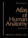 Atlas of Human Anatomy