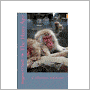 The Hairy Ape