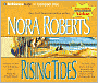 Rising Tides (Quinn Brothers Series #2)
