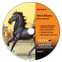 Black Beauty: High-Interest Chapter Book and Audio Files (Digital Files on CD-ROM)