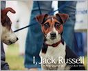 I, Jack Russell: A Photographer and a Dog's Eye View