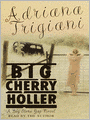 Big Cherry Holler: Big Stone Gap Series, Book 2