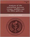 Analysis of the interaction between viruses, miRNAs and the RNAi pathway.