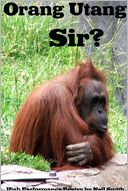Orang Utang Sir?