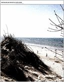 The Miller and the Boy - A Collection of Short Stories and Poetry