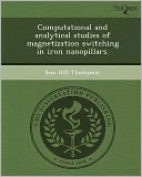 Computational and analytical studies of magnetization switching in iron nanopillars.