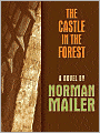 The Castle in the Forest: A Novel
