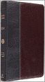 ESV Vintage Thinline Bible