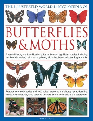 The Illustrated World Encyclopedia of Butterflies and Moths: A Natural History and Identification Guide